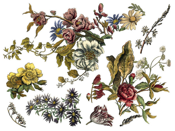 IOD Full Colour Transfer - Floral Anthology