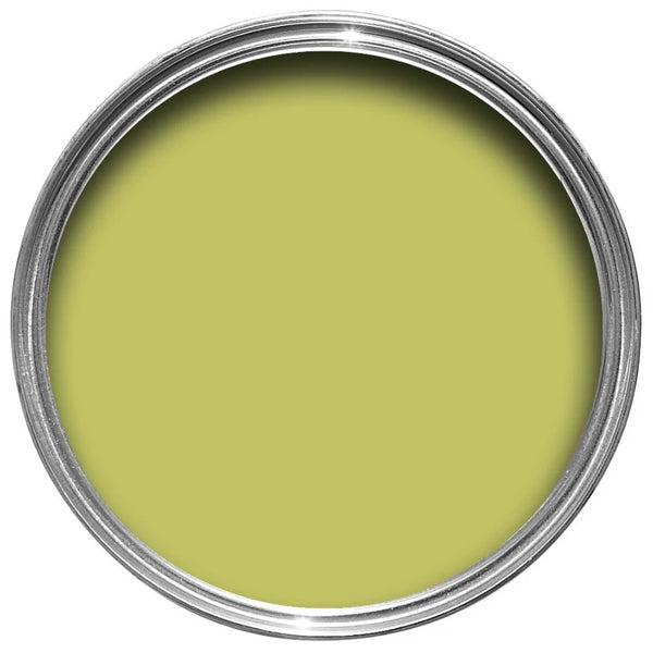 Farrow & Ball Paint - Acid Drop No. 9908 - ARCHIVED