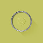 Farrow & Ball Paint - Acid Drop No. 9908 - ARCHIVED