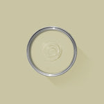 Farrow & Ball Paint - Ash Grey No. W9 - ARCHIVED