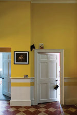 Farrow & Ball Paint - Babouche No. 223