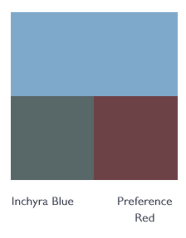 Farrow & Ball Paint - Bay Area Blue No. 9815 - ARCHIVED