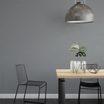 Farrow & Ball Paint - Beetle Black No. G16 - ARCHIVED