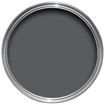 Farrow & Ball Paint - Beetle Black No. G16 - ARCHIVED