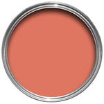 Farrow & Ball Paint - Bisque No. 9811 - ARCHIVED