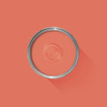 Farrow & Ball Paint - Bisque No. 9811 - ARCHIVED