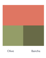 Farrow & Ball Paint - Bisque No. 9811 - ARCHIVED