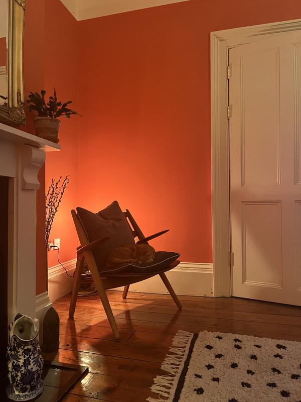 Farrow & Ball Paint - Bisque No. 9811 - ARCHIVED