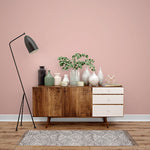 Farrow & Ball Paint - Blooth Pink No. 9806 - ARCHIVED