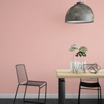 Farrow & Ball Paint - Blooth Pink No. 9806 - ARCHIVED