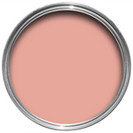 Farrow & Ball Paint - Blooth Pink No. 9806 - ARCHIVED