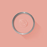 Farrow & Ball Paint - Blooth Pink No. 9806 - ARCHIVED