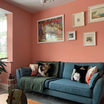 Farrow & Ball Paint - Blooth Pink No. 9806 - ARCHIVED