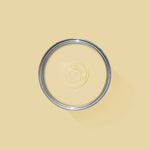 Farrow & Ball Paint - Bombazine No. 9902 - ARCHIVED