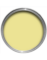 Farrow & Ball Paint - Butterweed No. 9802 - ARCHIVED