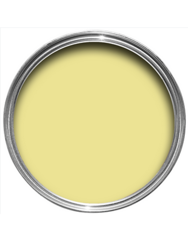 Farrow & Ball Paint - Butterweed No. 9802 - ARCHIVED