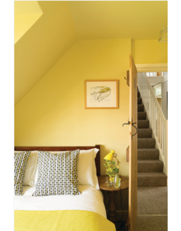 Farrow & Ball Paint - Ciara Yellow No. 73 - ARCHIVED