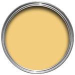 Farrow & Ball Paint - Citron No. 74