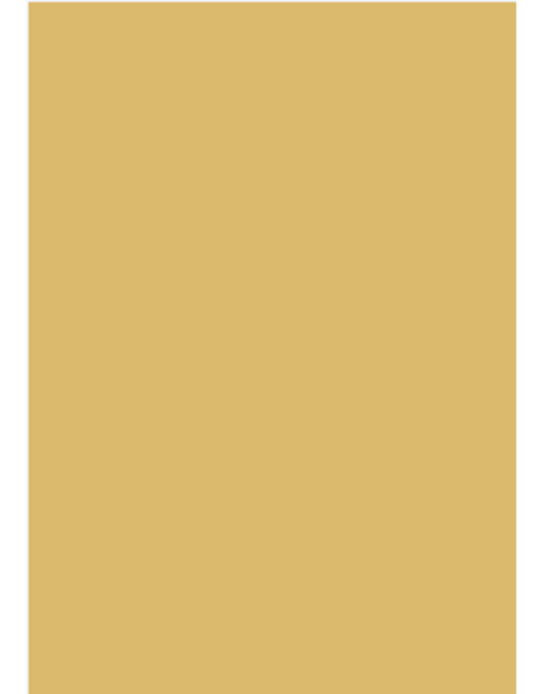 Farrow & Ball Paint - Corngold No. 9915 - ARCHIVED