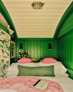 Farrow & Ball Paint - Danish Lawn No. 9817 - ARCHIVED