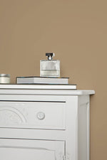 Farrow & Ball Paint - Dauphin No. 54 - ARCHIVED