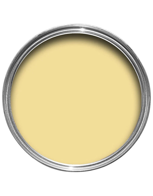 Farrow & Ball Paint - Dayroom Yellow No. 233