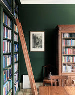 Farrow & Ball Paint - Duck Green No. W55 - ARCHIVED