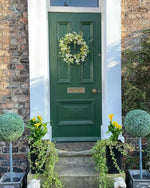 Farrow & Ball Paint - Duck Green No. W55 - ARCHIVED