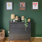Farrow & Ball Paint - Duck Green No. W55 - ARCHIVED