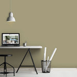 Farrow & Ball Paint - Green Stone No. 12 - ARCHIVED