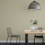 Farrow & Ball Paint - Green Stone No. 12 - ARCHIVED