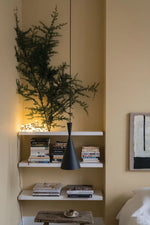 Farrow & Ball Paint - Hay No. 37