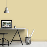 Farrow & Ball Paint - Hound Lemon No. 2 - ARCHIVED