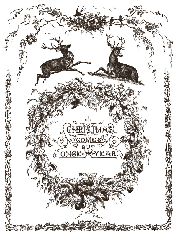 IOD Paint Inlay - Twelfth Night