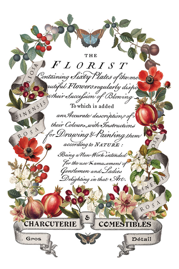 IOD Full Colour Transfer - Clementine