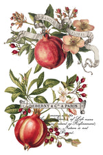 IOD Full Colour Transfer - Clementine