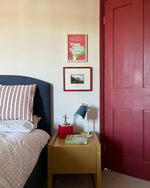 Farrow & Ball Paint - Incarnadine No. 248