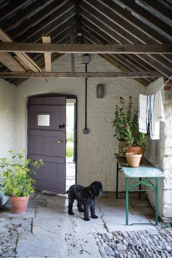 Farrow & Ball Paint - Joa's White No. 226