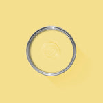 Farrow & Ball Paint - Lancaster Yellow No. 249 - ARCHIVED