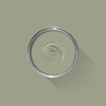 Farrow & Ball Paint - Lichen No. 19