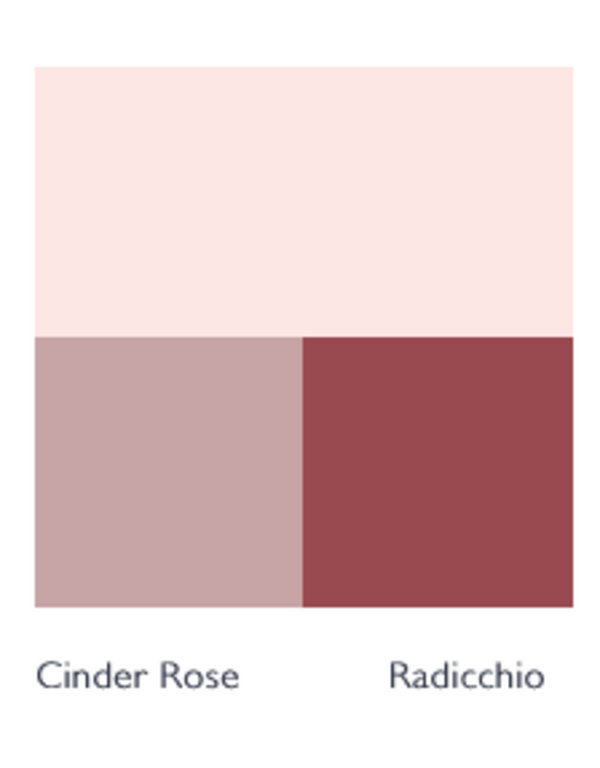 Farrow & Ball Paint - Middleton Pink No. 245