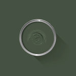 Farrow & Ball Paint - Minster Green No. 224 - ARCHIVED