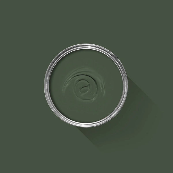 Farrow & Ball Paint - Minster Green No. 224 - ARCHIVED