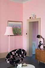 Farrow & Ball Paint - Nancy's Blushes No. 278