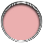 Farrow & Ball Paint - Nancy's Blushes No. 278