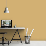 Farrow & Ball Paint - Octagon Yellow No. 7 - ARCHIVED