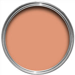 Farrow & Ball Paint - Ointment Pink No. 21 - ARCHIVED