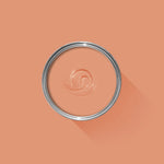 Farrow & Ball Paint - Ointment Pink No. 21 - ARCHIVED