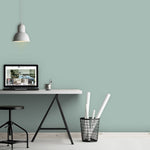 Farrow & Ball Paint - Powder Blue No. 23 - ARCHIVED