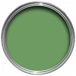 Farrow & Ball Paint - Raw Tomatillo No. CB6